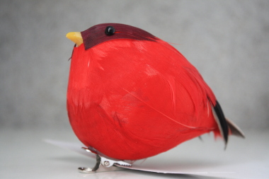Verniel karbonade Oprichter Veren vogels : Veren vogel L rode kleuren