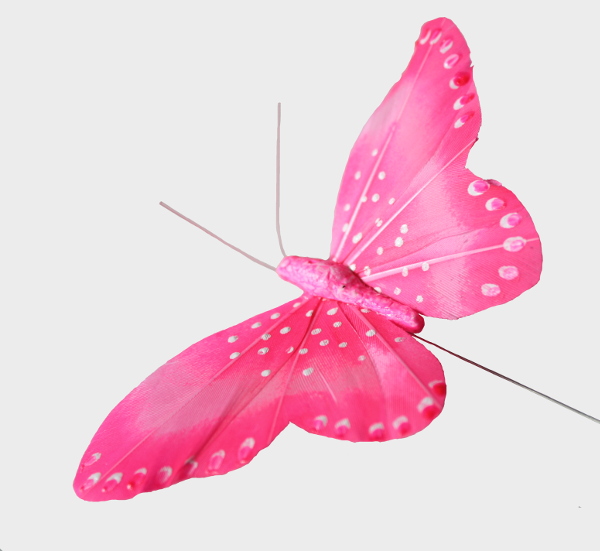 Pogo stick sprong geschiedenis Tientallen Veren vlinders : Veren vlinder roze en wit 11 cm breed